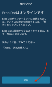 echo dot　オンライン