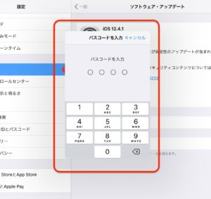 iOS12.4.1　パスコード