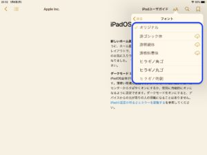 iPadユーザガイド　フォント変更