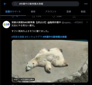 家でも動物に癒される Twitterで動物園 水族館をみてみる ハジカラ