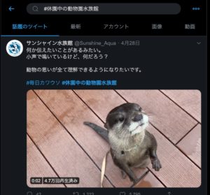 家でも動物に癒される Twitterで動物園 水族館をみてみる ハジカラ