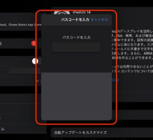 iPadOS14アップデート　認証