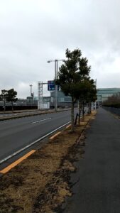 羽田空港自転車でいく　ターミナル