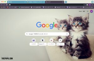 Google Chromeのテーマ　猫