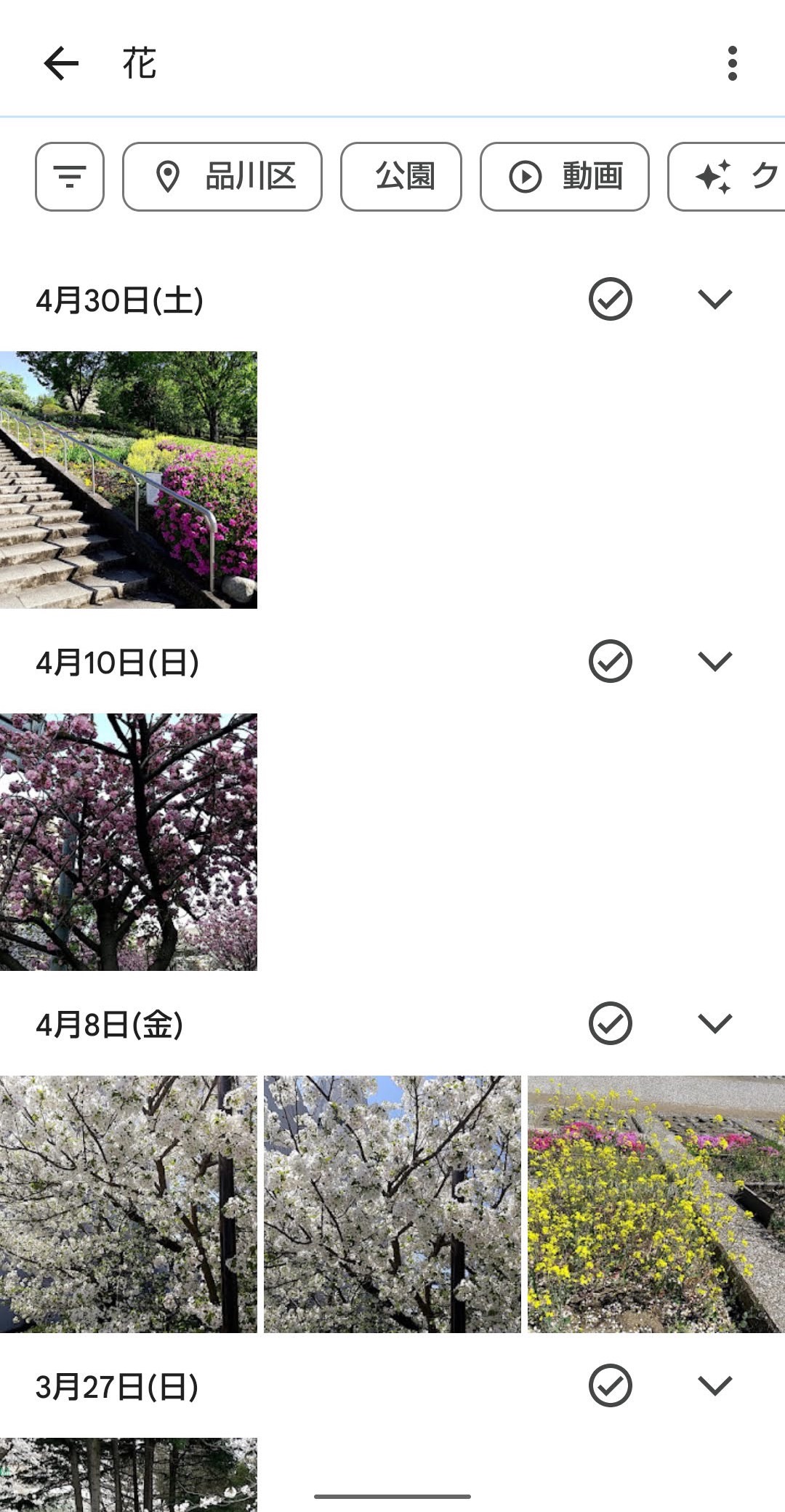 Googleフォト　写真画像検索 花の写真