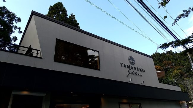 養老渓谷　遊歩道　山猫１