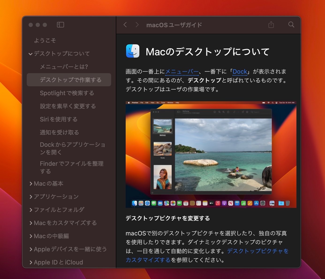 Mac設定　ユーザーガイド　その他の項目メニュー