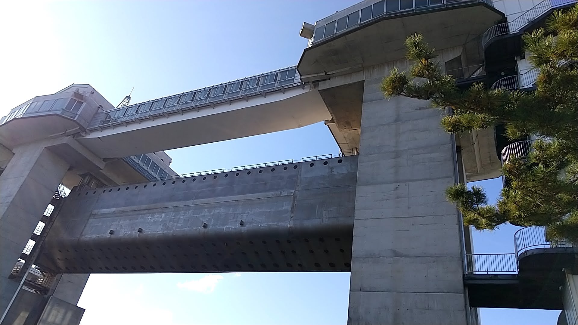 沼津港旅行　びゅうお