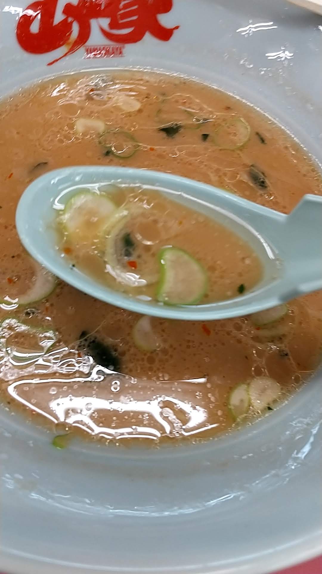 ラーメン山岡家 東千葉店　醤油ラーメン　ネギとも