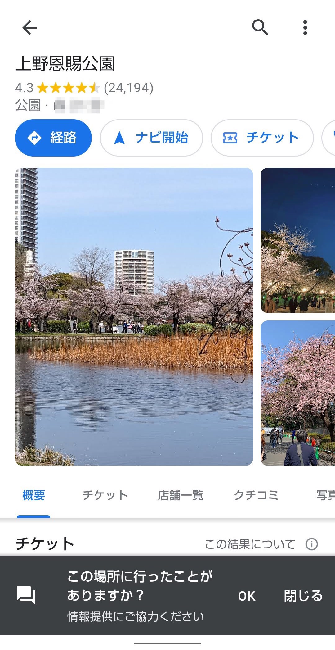 Googleマップ　イマーシブビュー　上野公園
