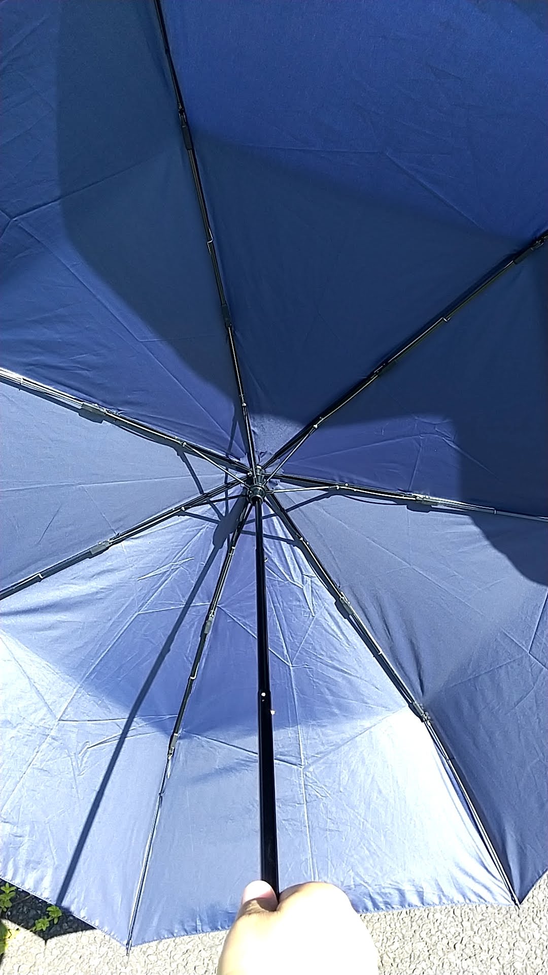 セブンプレミアムライフスタイル 雨晴兼用折たたみ傘 ６０ｃｍ 広げる２