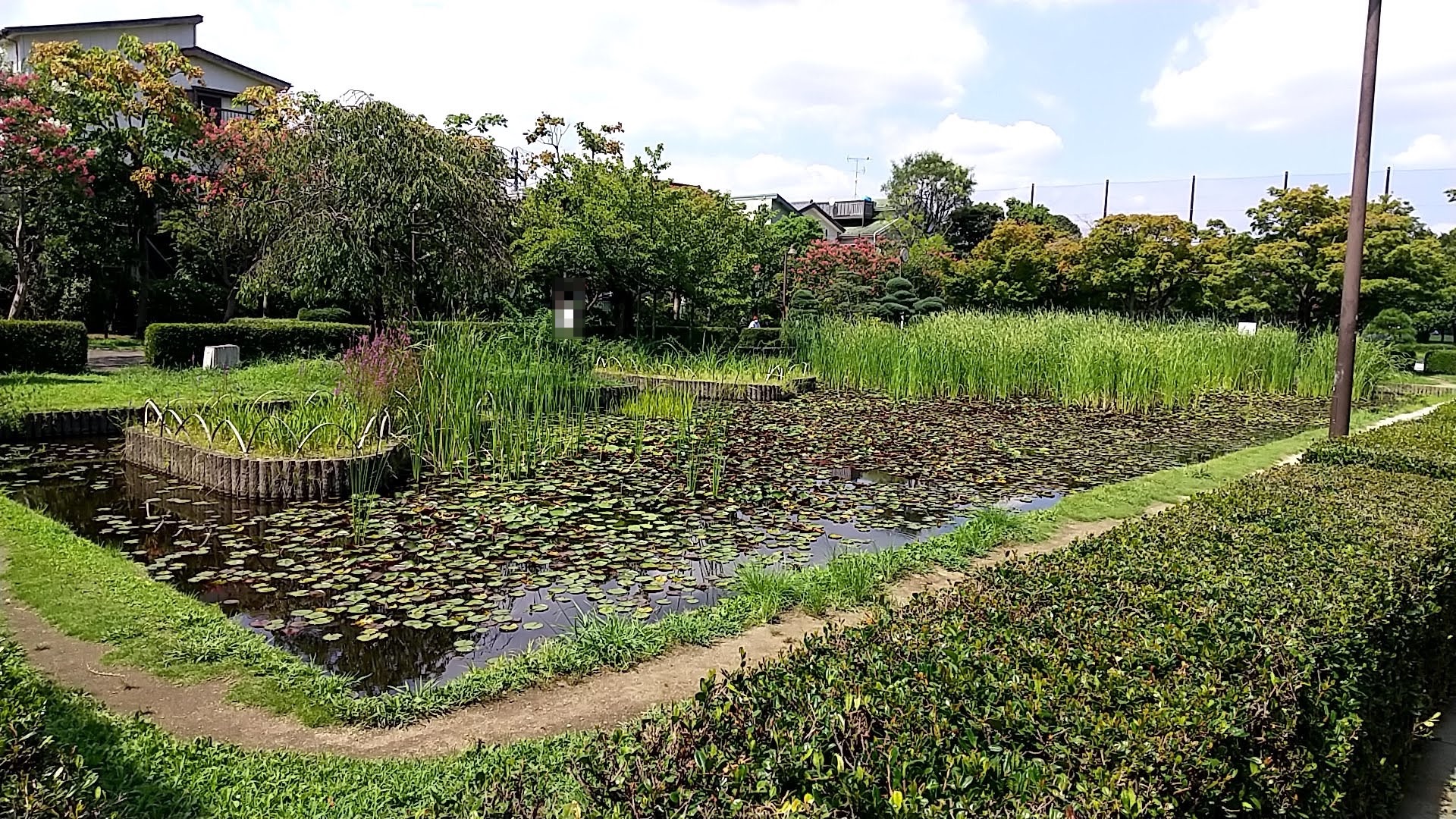 行船公園　訪問　平成庭園 水生池