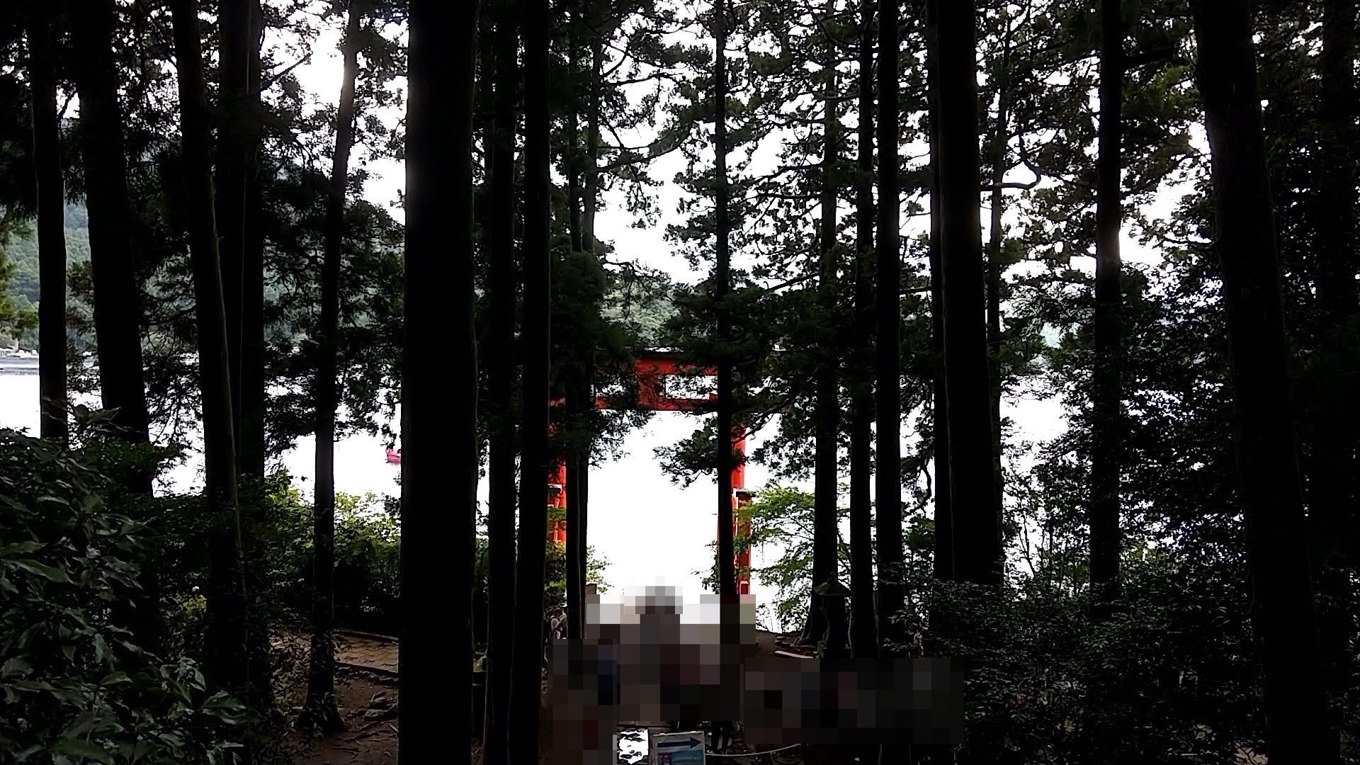 箱根神社　平和の鳥居