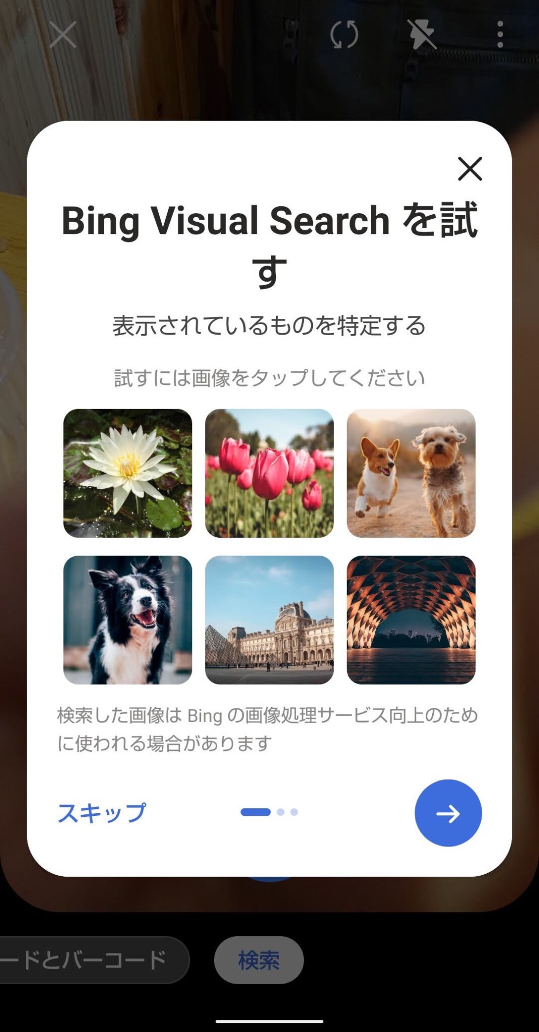 まずは基本から！スマホ版Bingアプリのキーワード検索・画像検索を使ってみる | ハジカラ