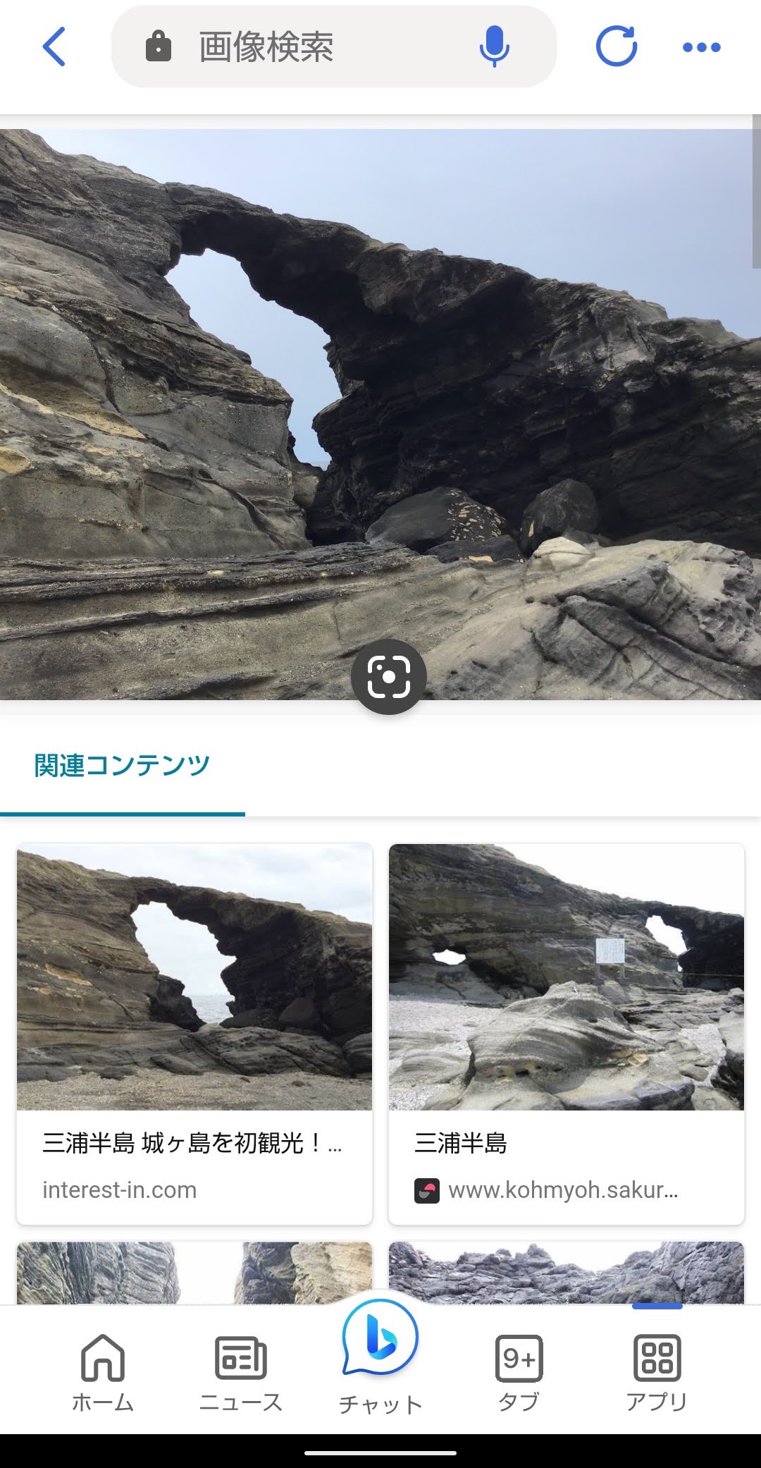 Bing Visual Search　画像検索　城ヶ島