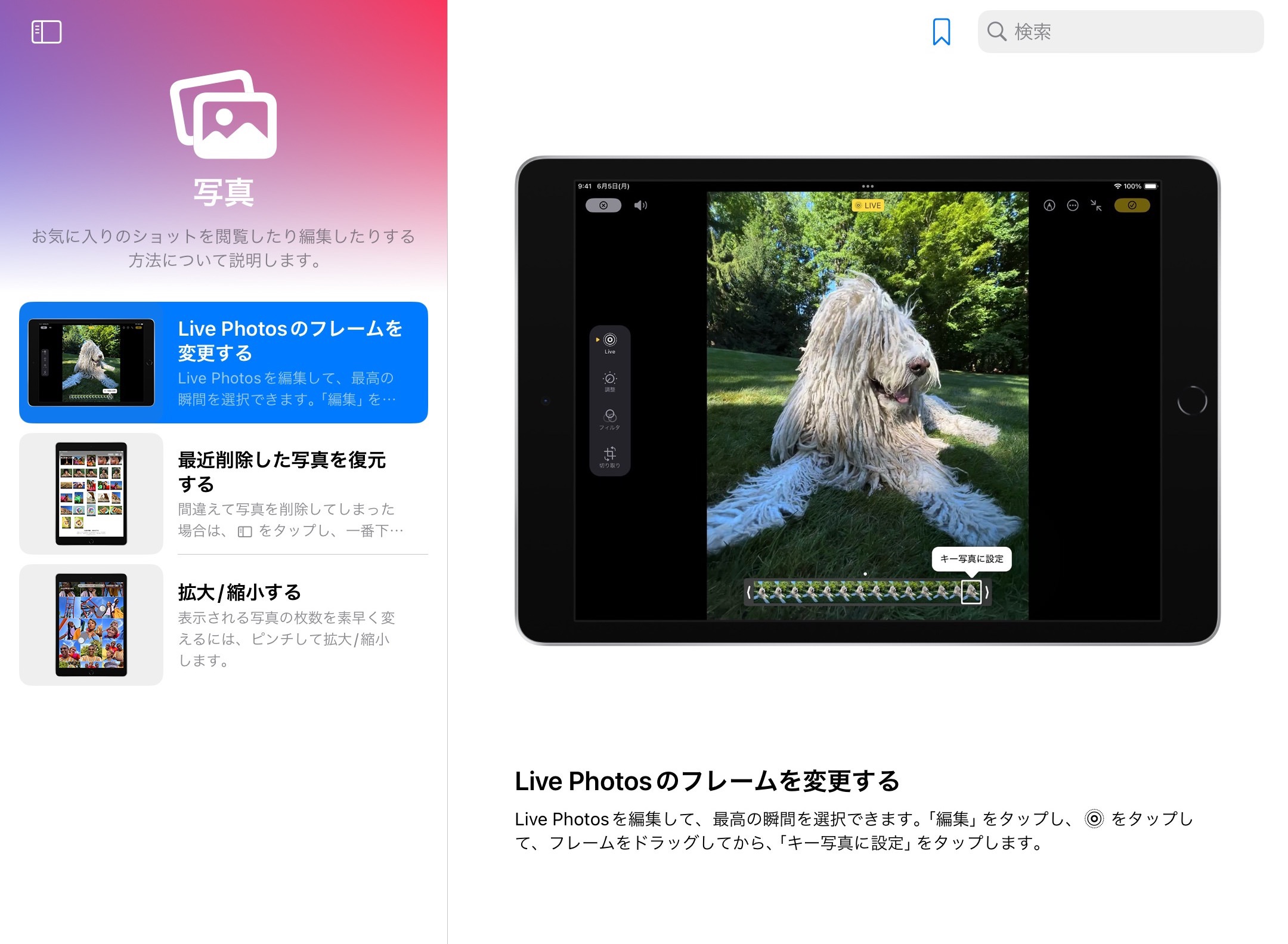 iPadOS ヒントアプリ 写真