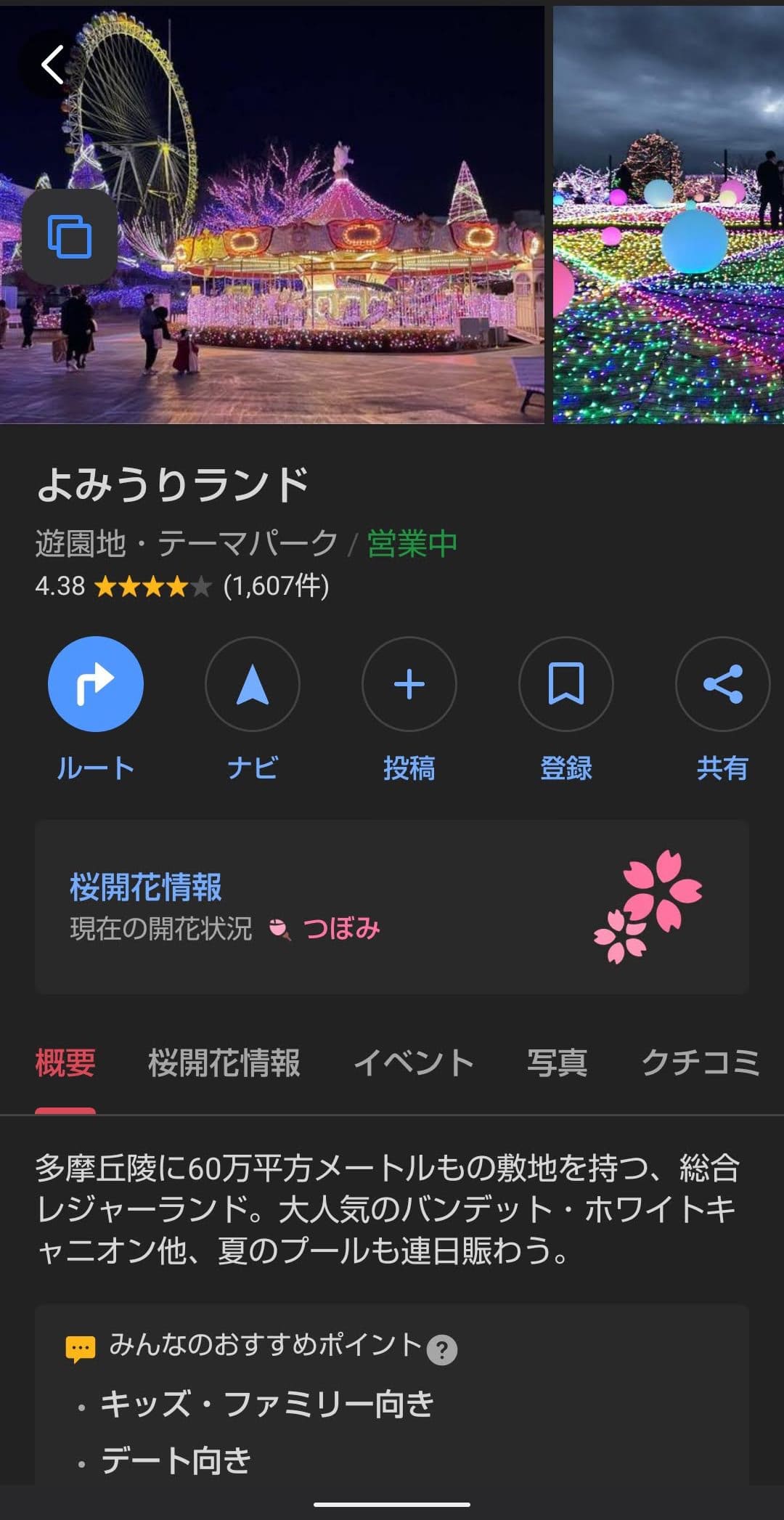 Yahoo!マップ　桜開花情報　詳細２
