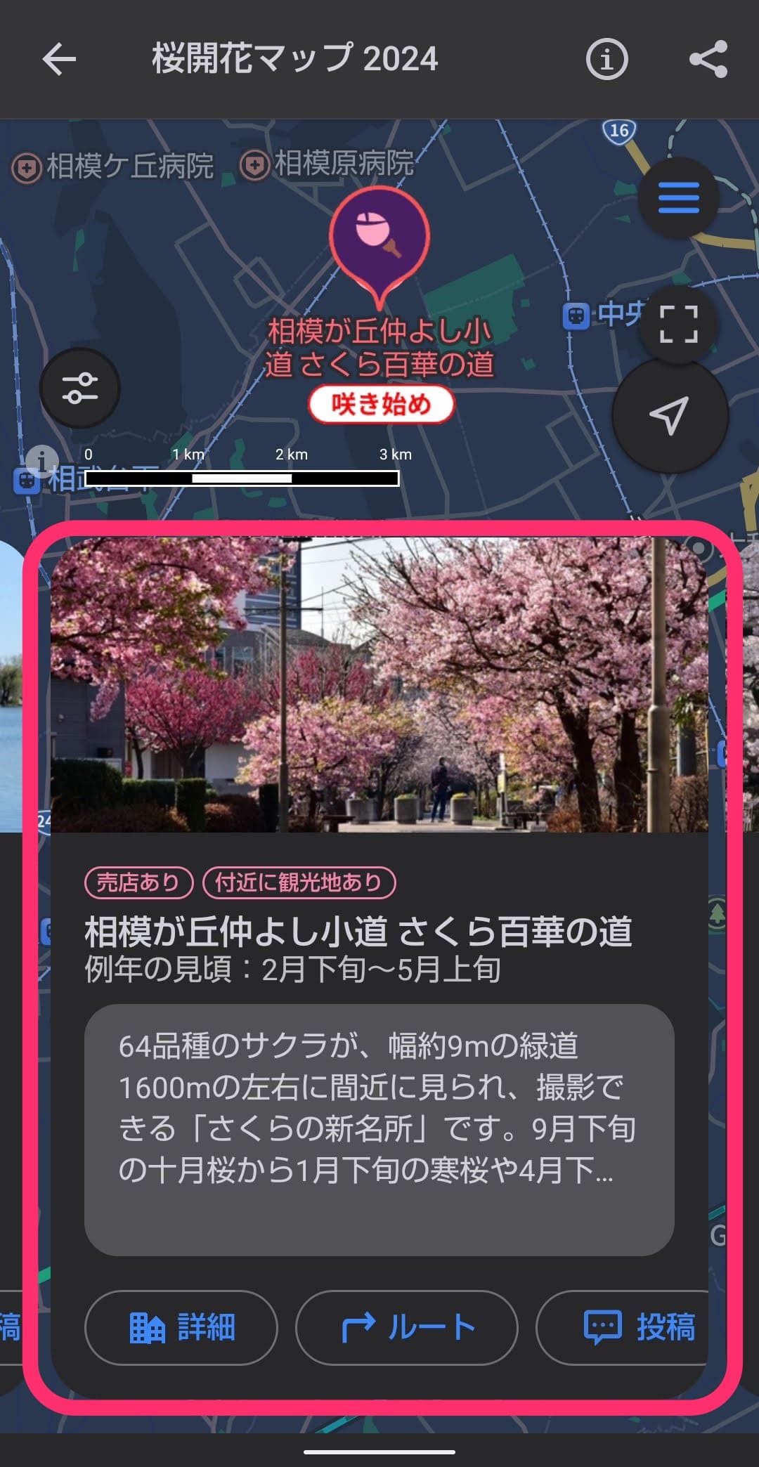 Yahoo!マップ　桜開花情報　咲き始め