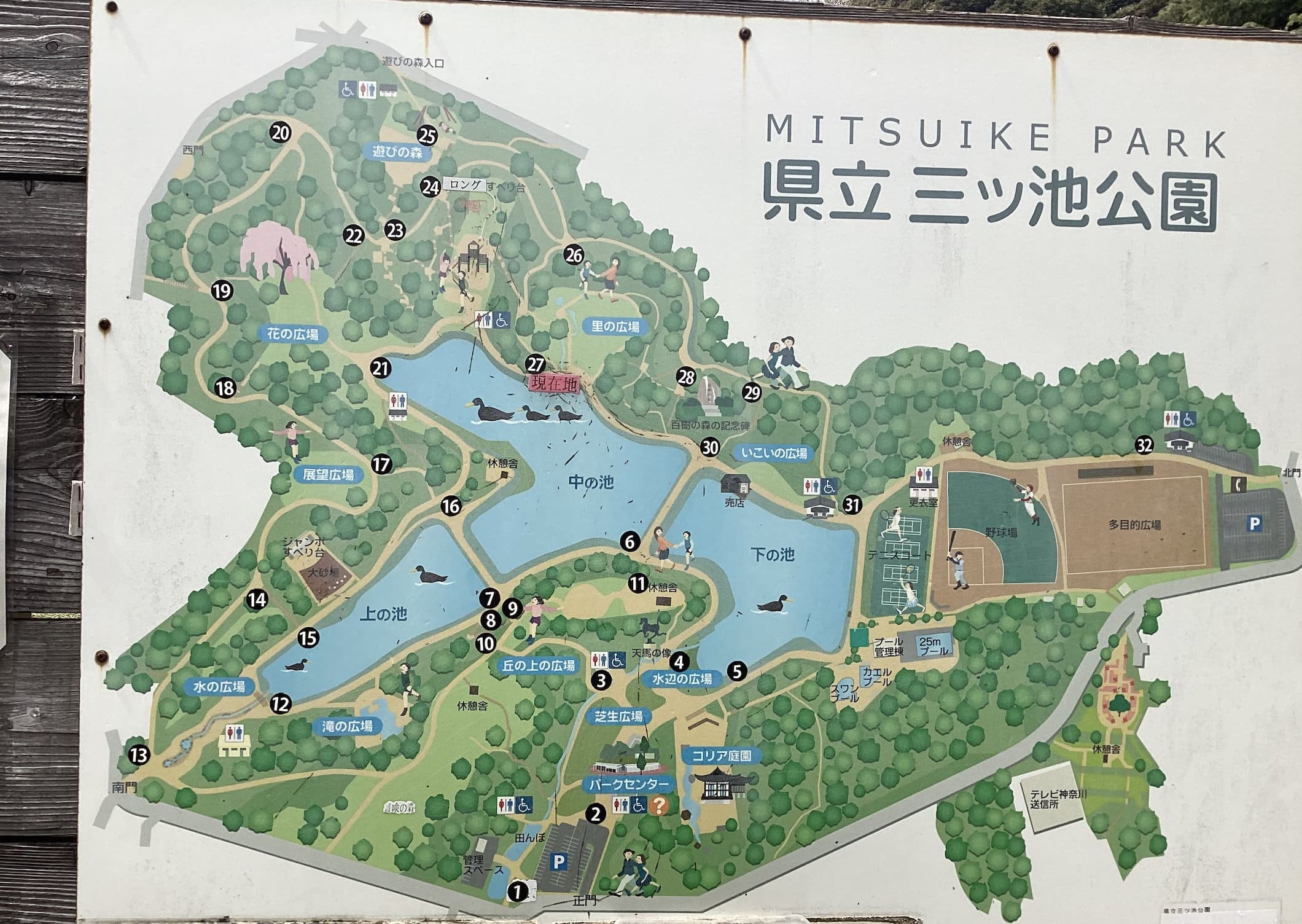 三ツ池公園の桜　マップ