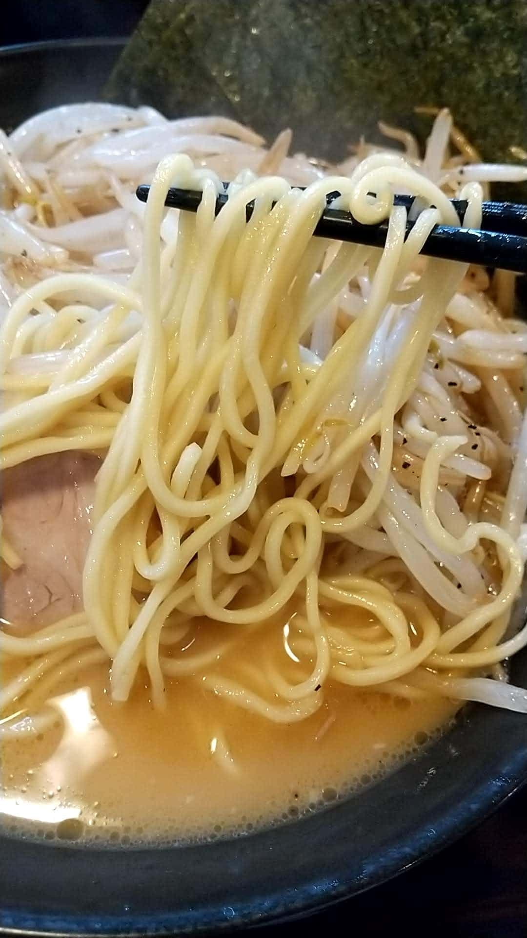 ラーメン道楽 鮫洲本店　もやしラーメン　麺