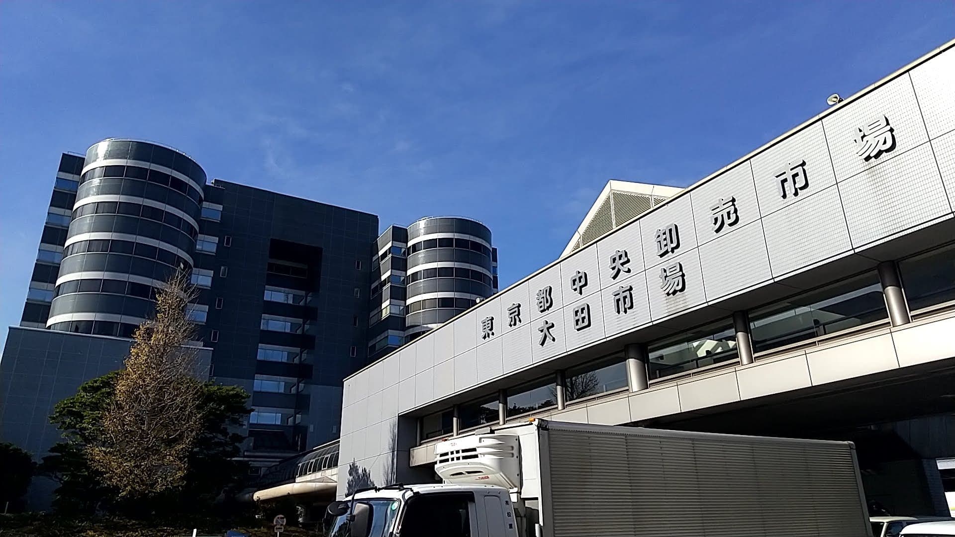 大田市場　見学