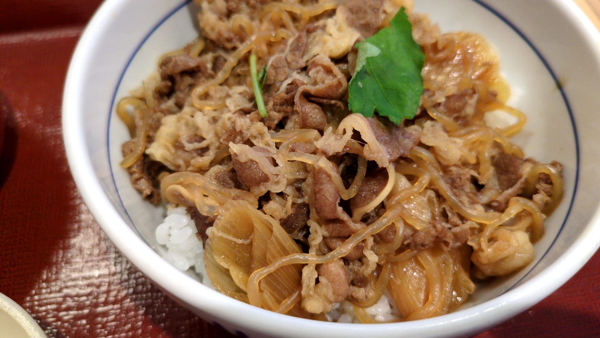 なか卯　温たま牛すき丼　並