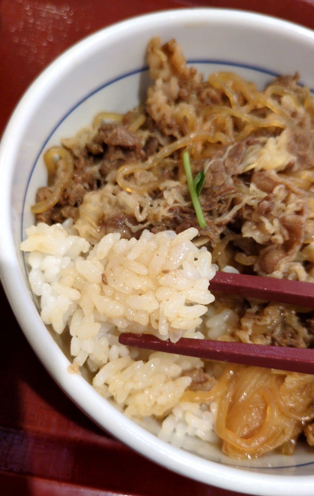 なか卯　温たま牛すき丼　ご飯