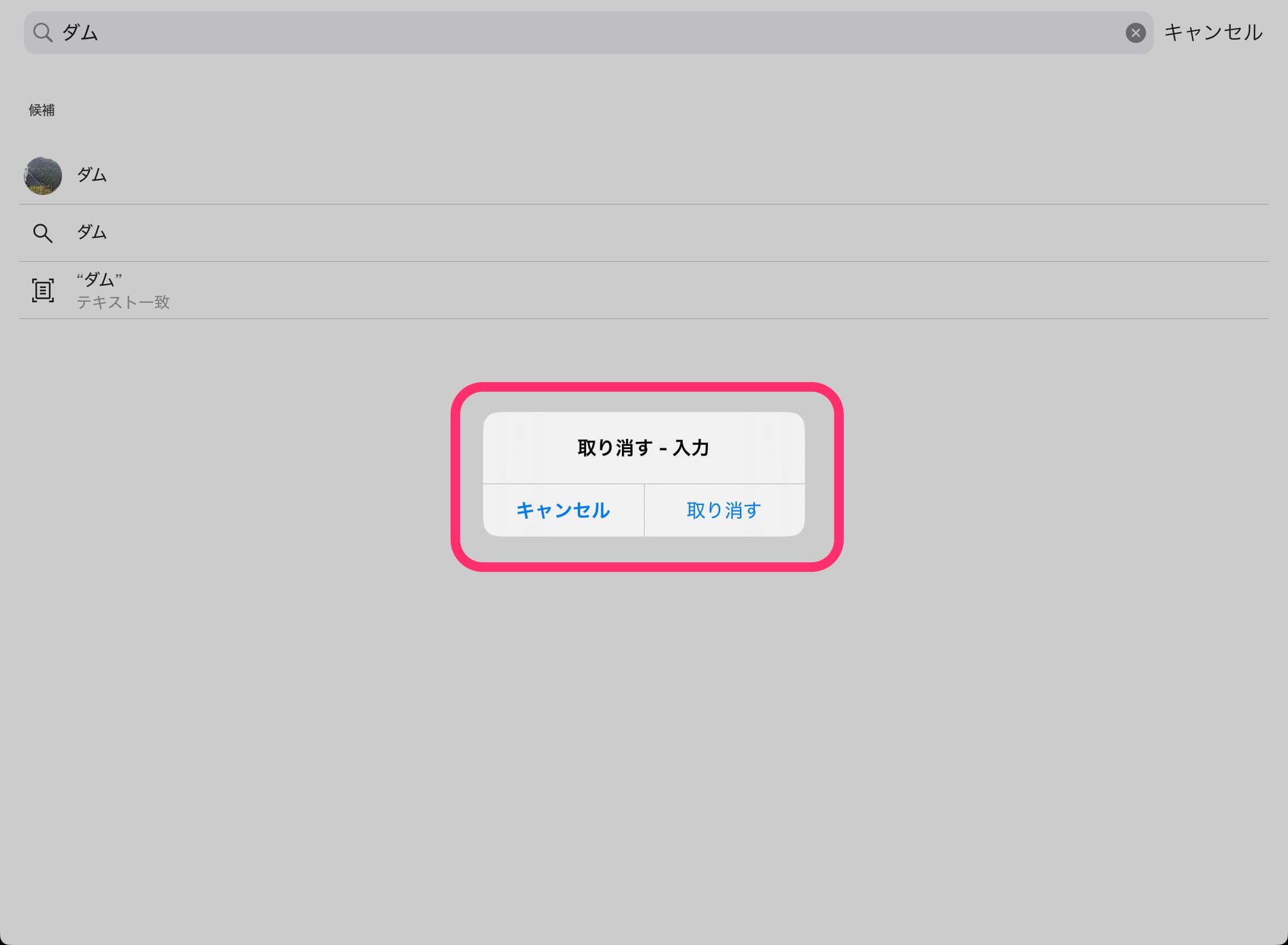 iPad シェイク機能　Googleフォト
