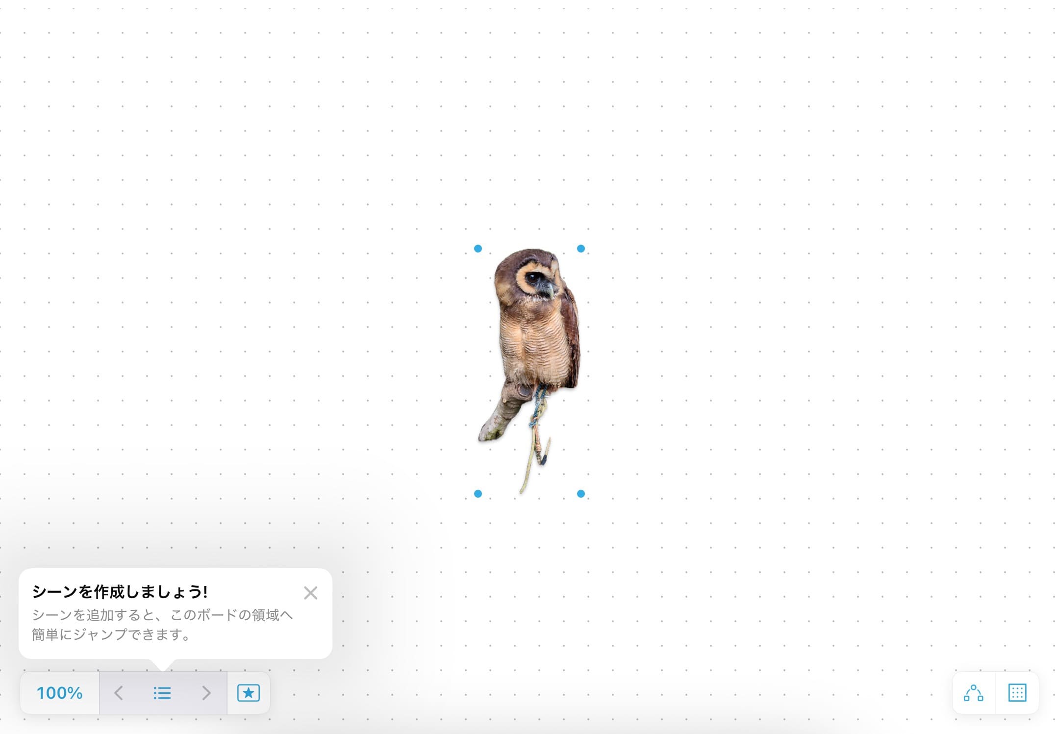 iPad版Googleフォト　ステッカー　ペースト