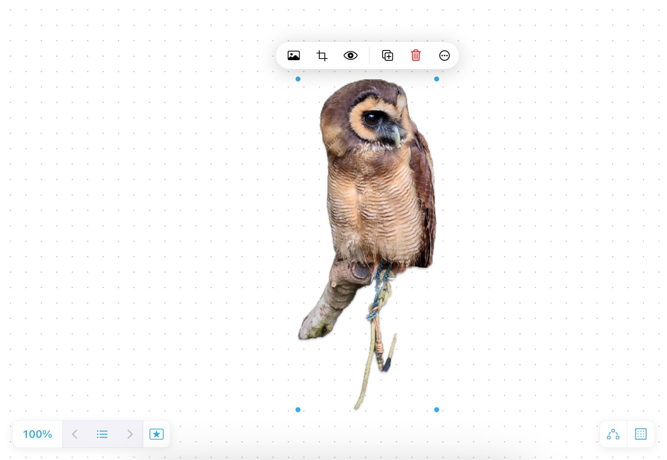 iPad版Googleフォト　ステッカー　編集