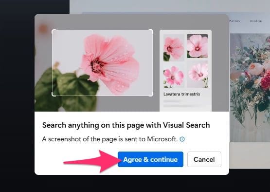 Microsoft Edge　右クリック 画像検索　同意