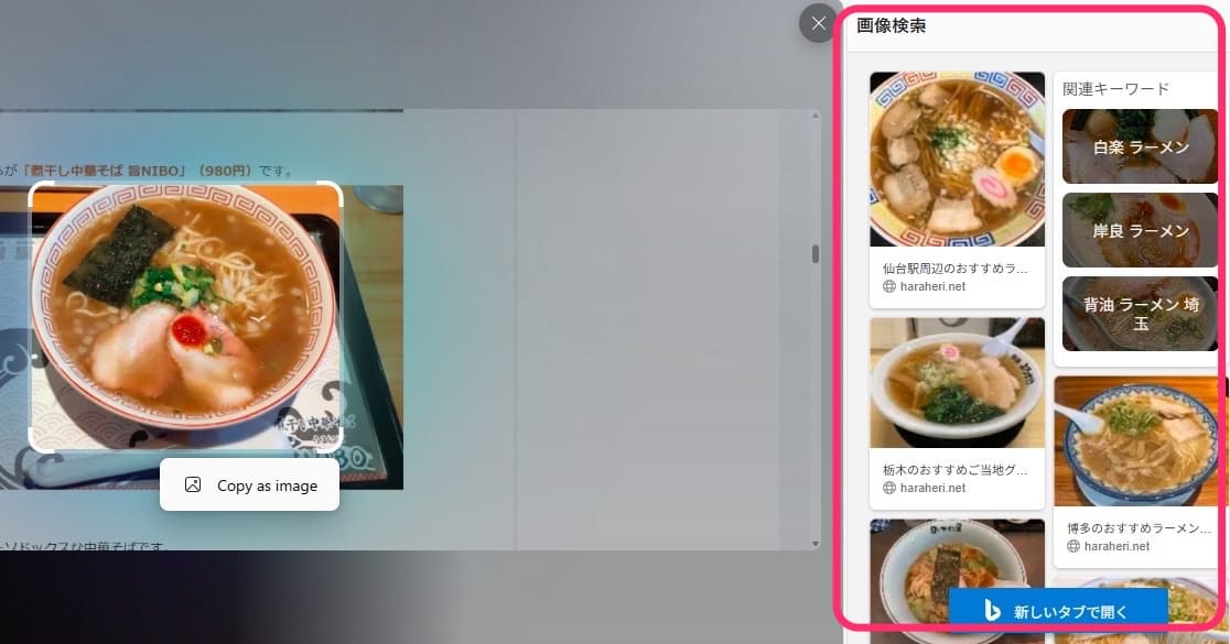 Microsoft Edge　右クリック 画像検索　結果