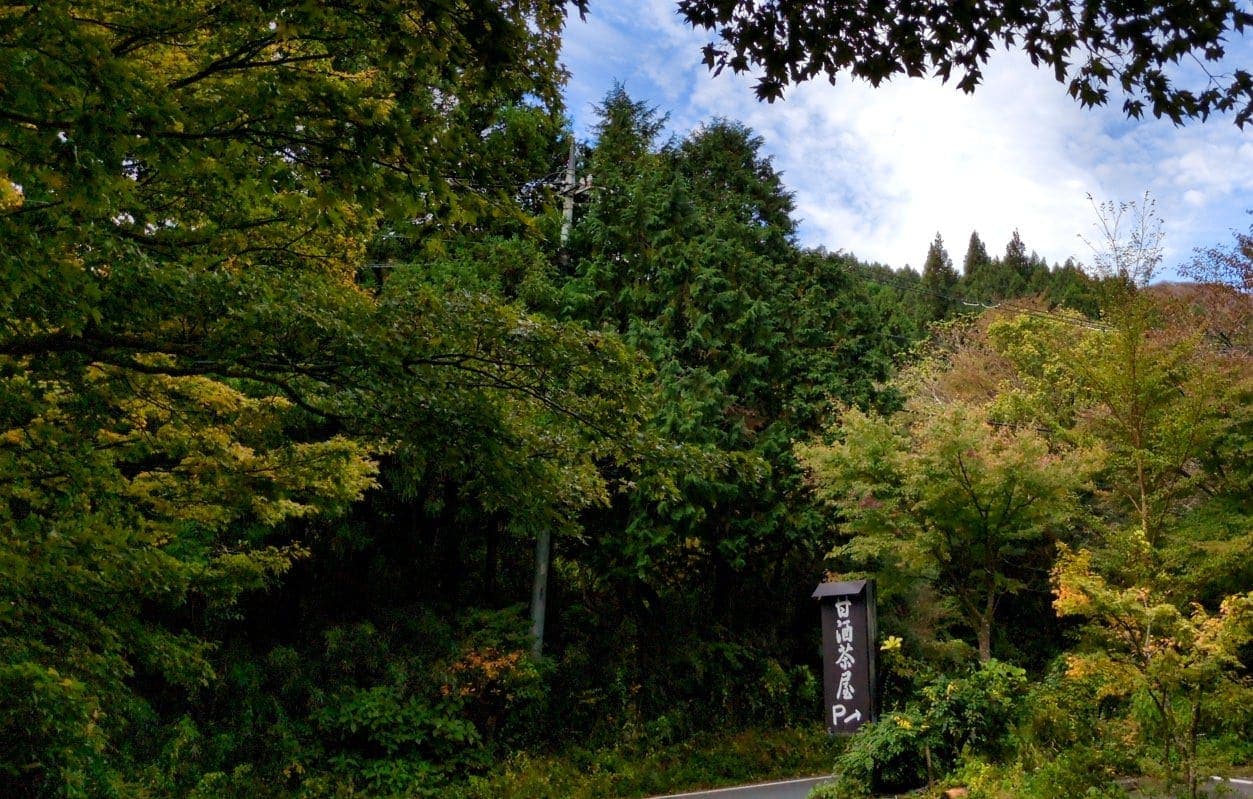 箱根 甘酒茶屋　紅葉始まり