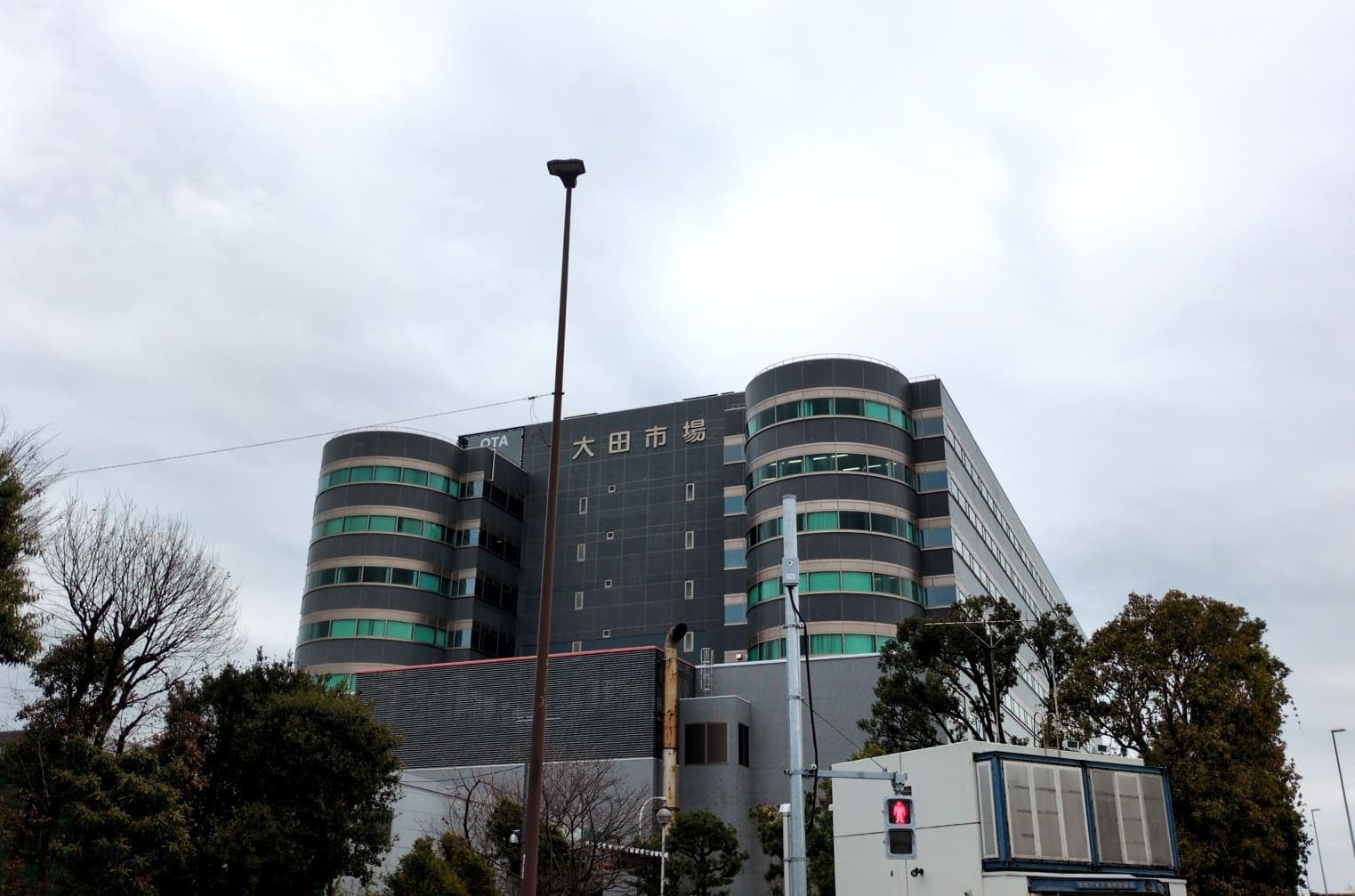 大田市場　見学