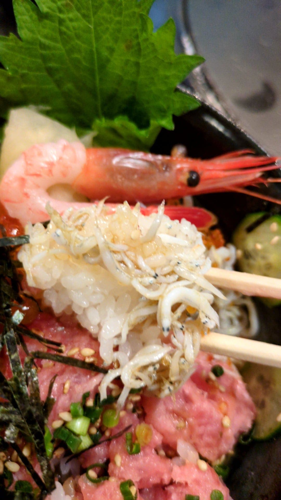 大田市場　かんだ福寿　ねぎとろといくら丼　しらす