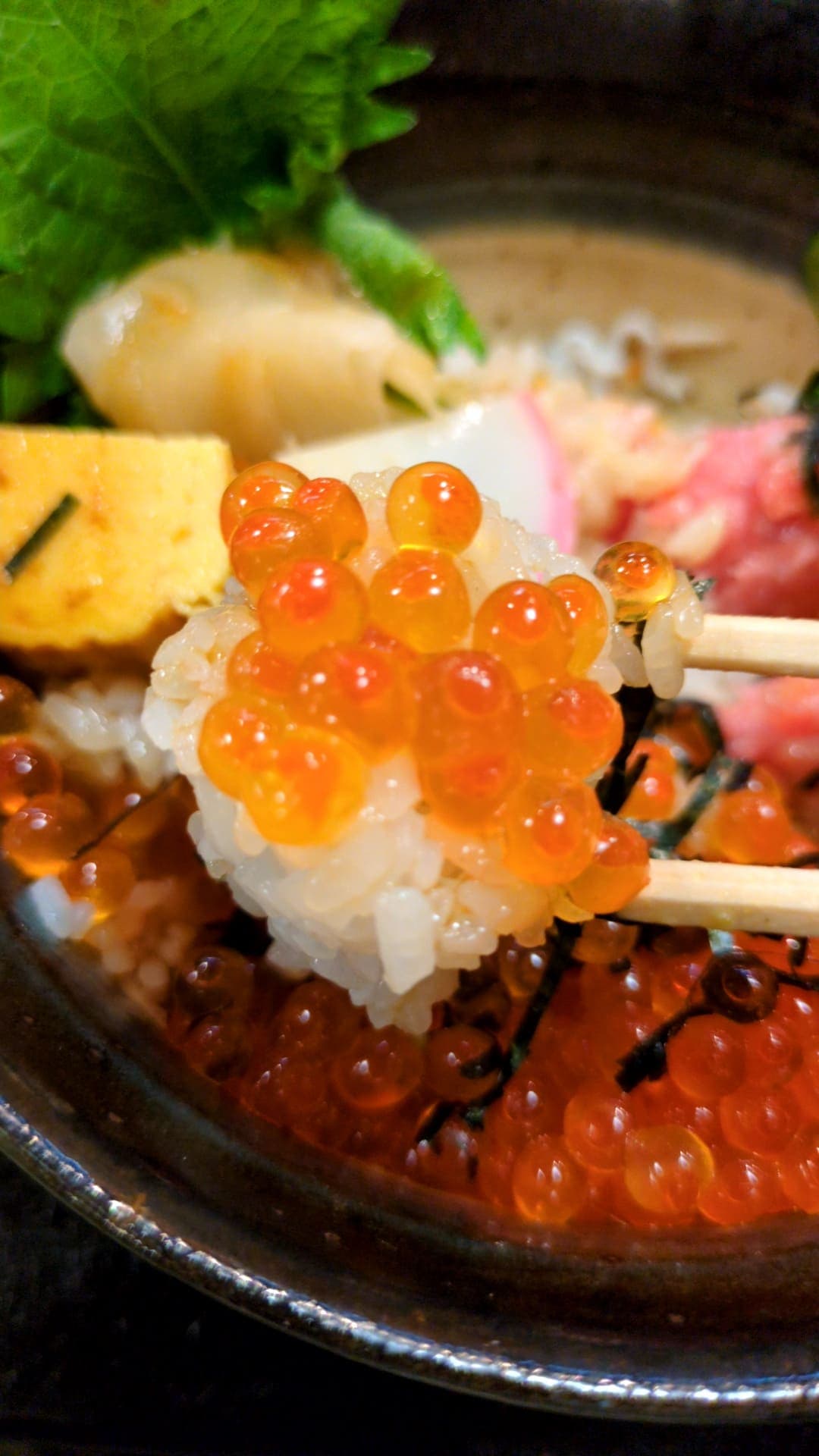 大田市場　かんだ福寿　ねぎとろといくら丼　食べる３