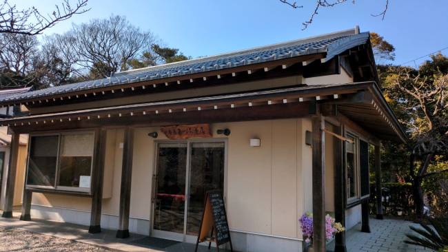 安房神社　あづち茶屋　訪問