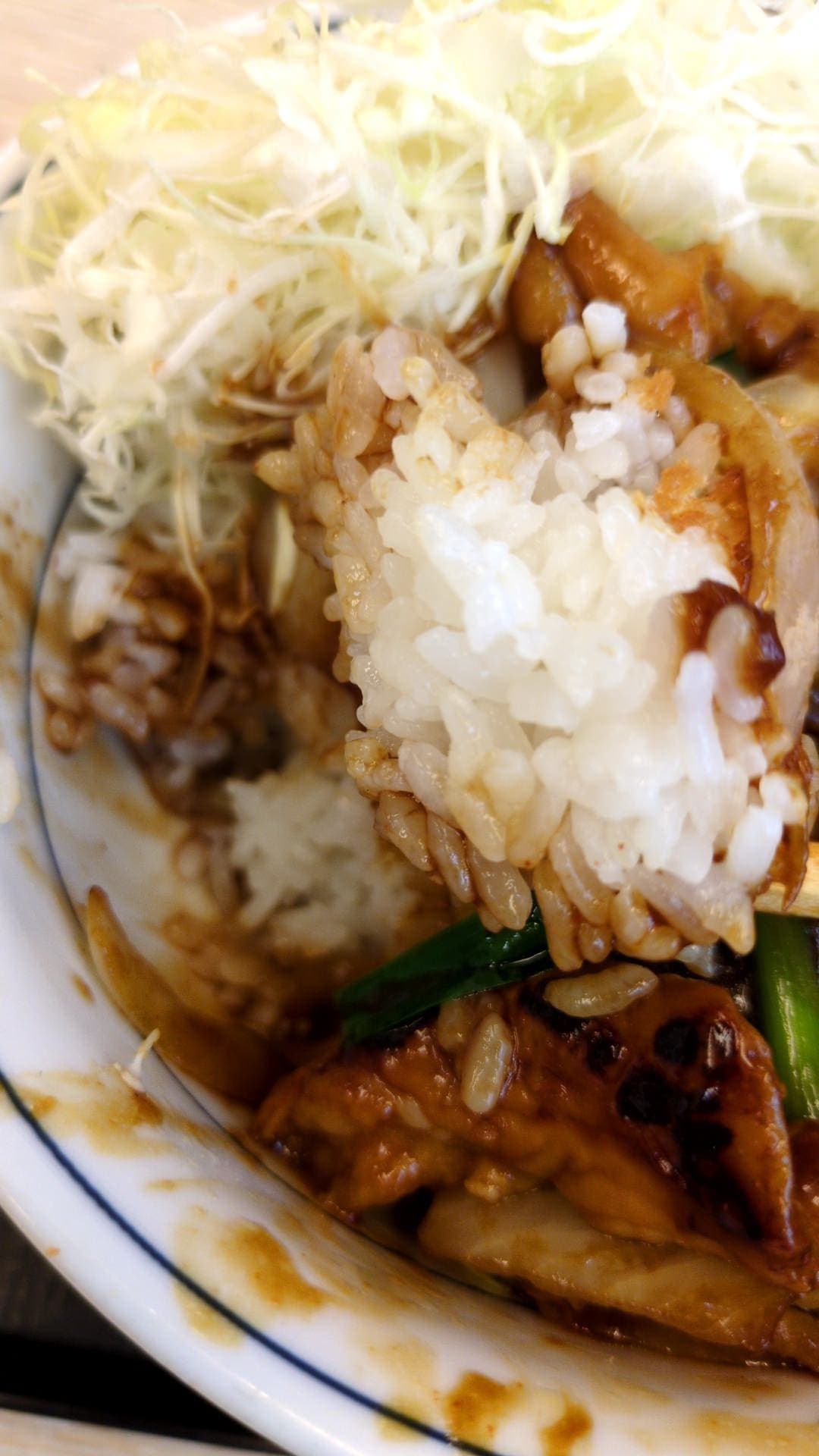 かつや　モツ野菜炒めとチキンカツの合い盛り丼　ご飯