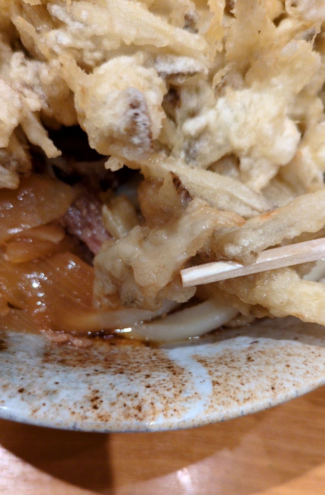 ふたば製麺アトレ川崎　肉盛りごぼうかき揚げうどん　食べる２