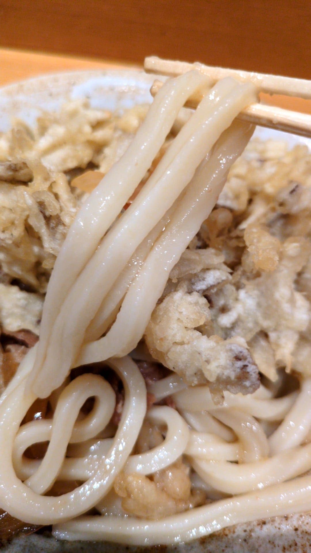ふたば製麺アトレ川崎　肉盛りごぼうかき揚げうどん　食べる４
